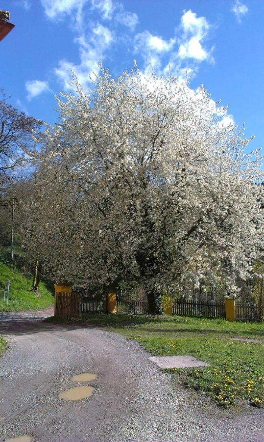 Ferienwohnung Ottmanach Josefhof Pischeldorf Esterno foto