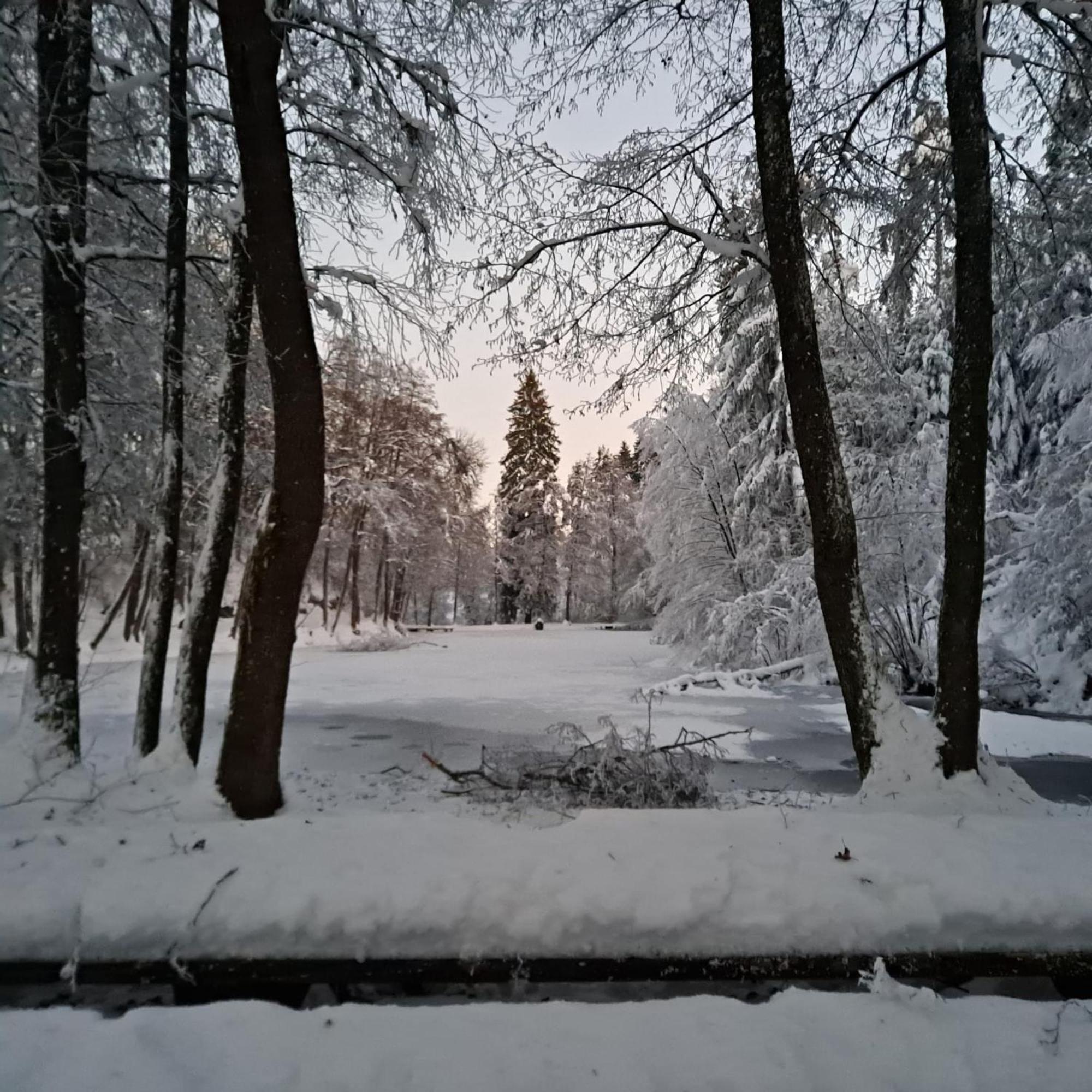 Ferienwohnung Ottmanach Josefhof Pischeldorf Esterno foto