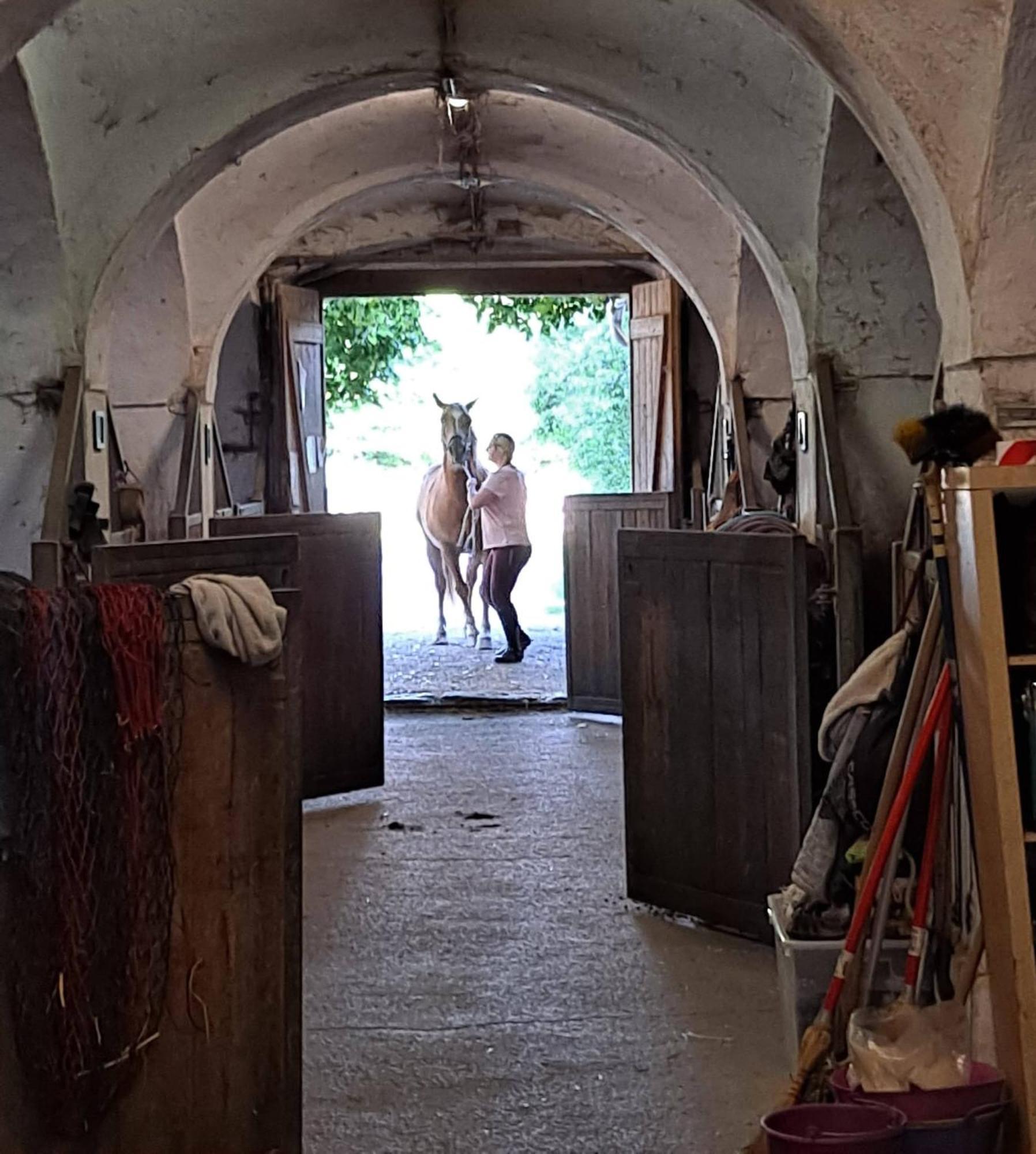 Ferienwohnung Ottmanach Josefhof Pischeldorf Esterno foto