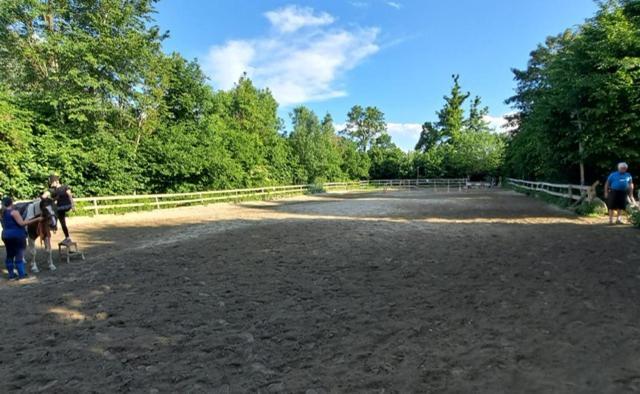 Ferienwohnung Ottmanach Josefhof Pischeldorf Esterno foto