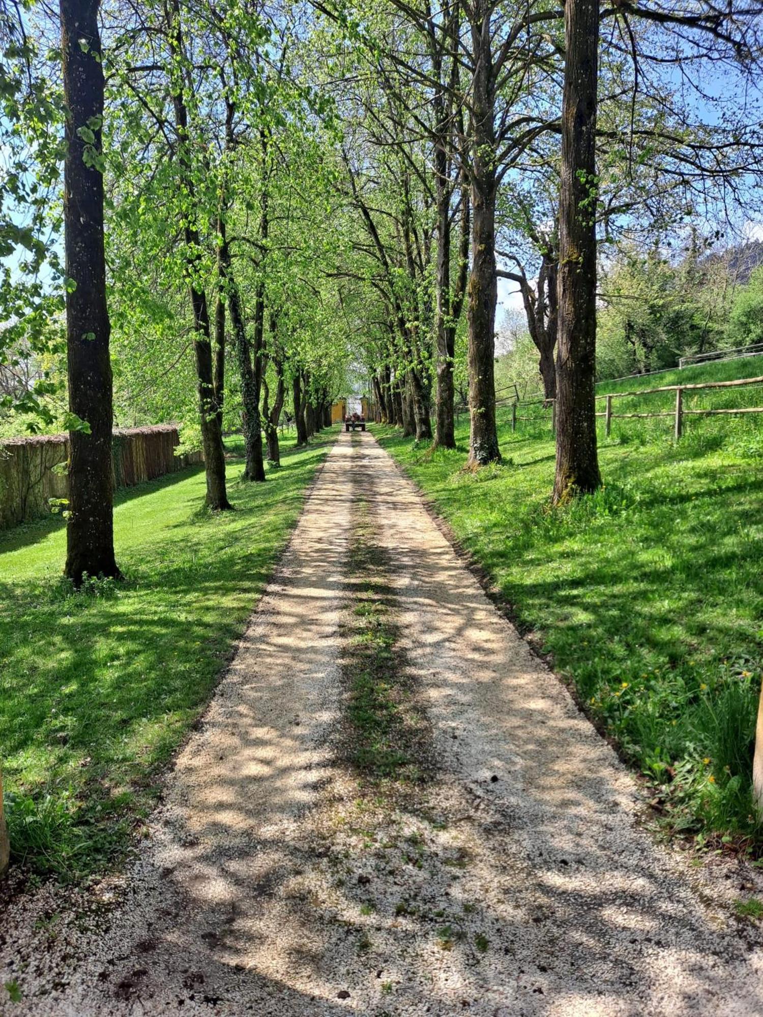 Ferienwohnung Ottmanach Josefhof Pischeldorf Esterno foto
